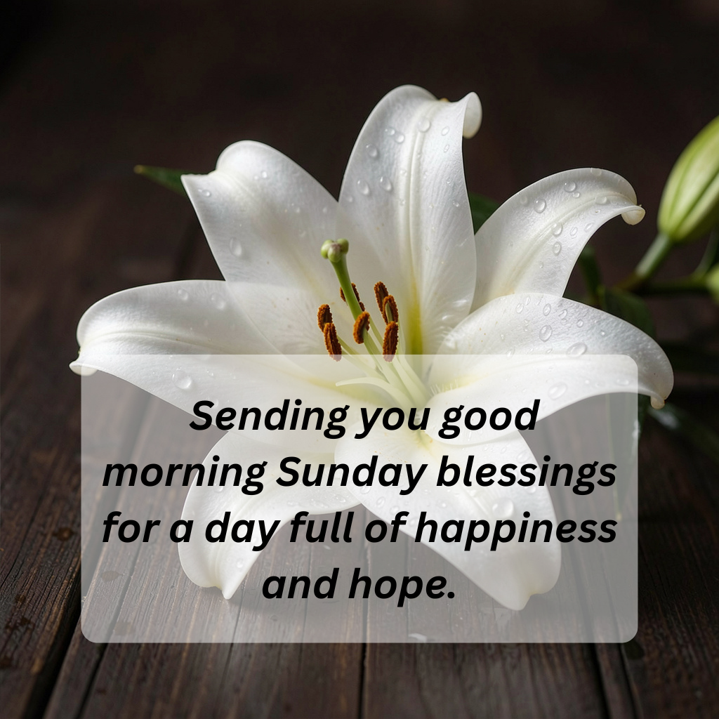 Good Morning Sunday Blessings: Embrace the Beauty of a New Day