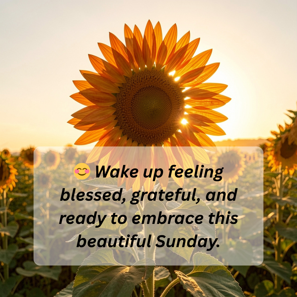 Good Morning Sunday Blessings: Embrace the Beauty of a New Day