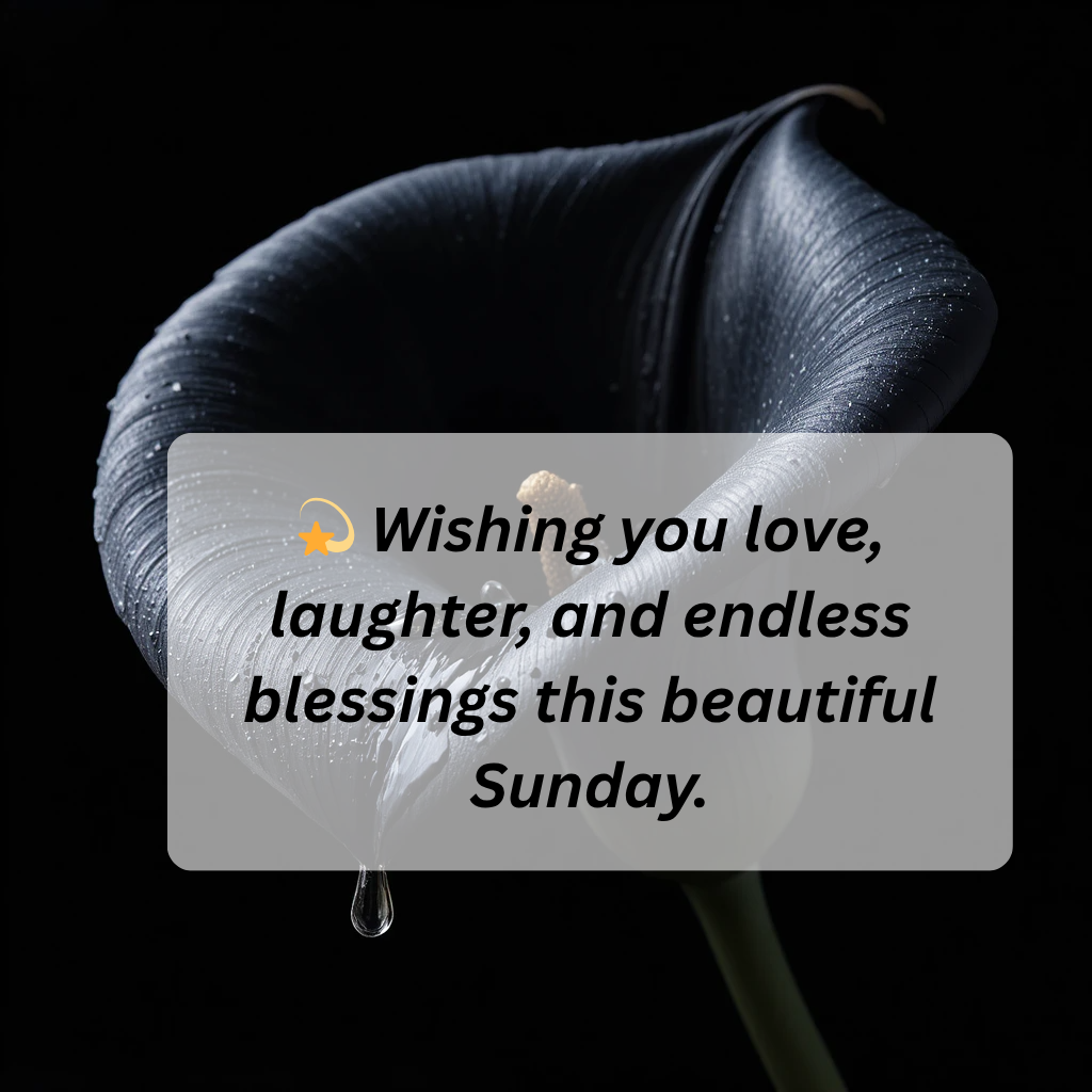 Good Morning Sunday Blessings: Embrace the Beauty of a New Day