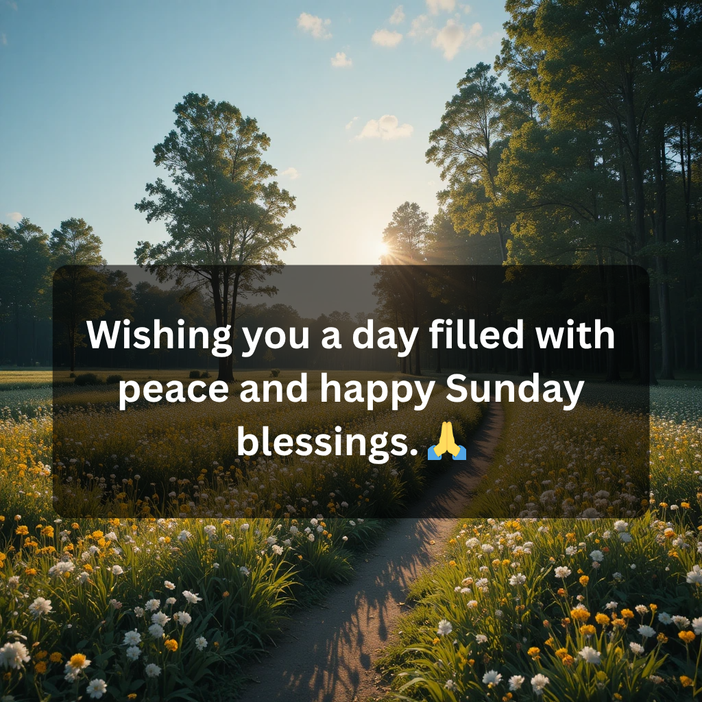 Happy Sunday Blessings: Embrace Joy, Peace, and Gratitude