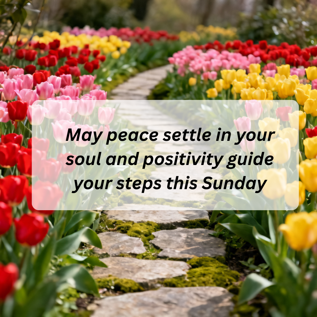 100+ Sunday Blessings Quotes to Inspire Peace, Positivity, and a Fresh Start