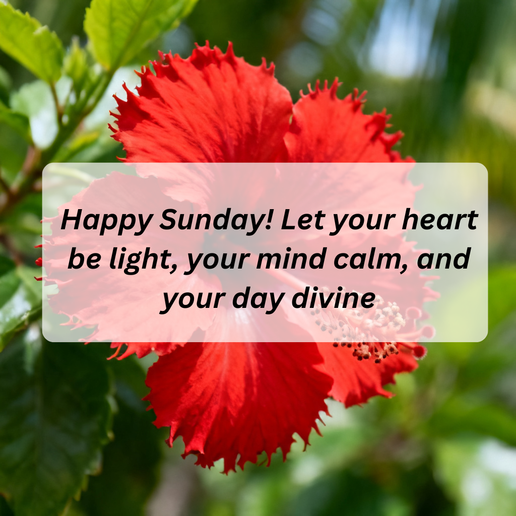 100+ Sunday Blessings Quotes to Inspire Peace, Positivity, and a Fresh Start