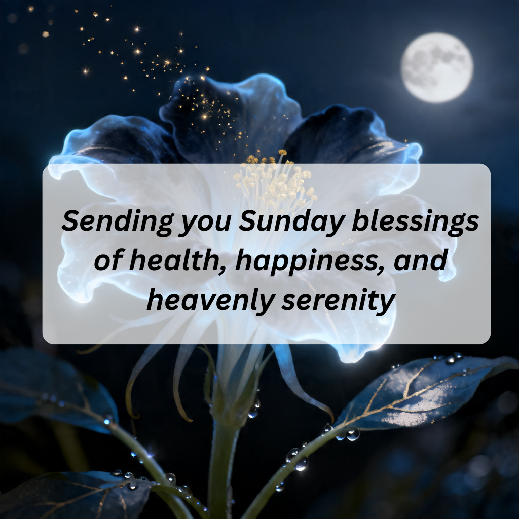 100+ Sunday Blessings Quotes to Inspire Peace, Positivity, and a Fresh Start