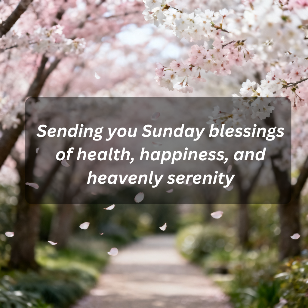 100+ Sunday Blessings Quotes to Inspire Peace, Positivity, and a Fresh Start