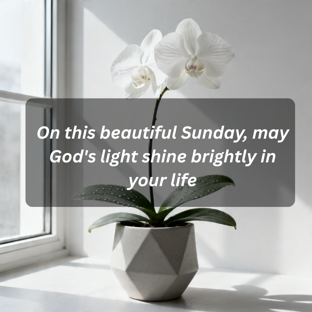 100+ Sunday Blessings Quotes to Inspire Peace, Positivity, and a Fresh Start