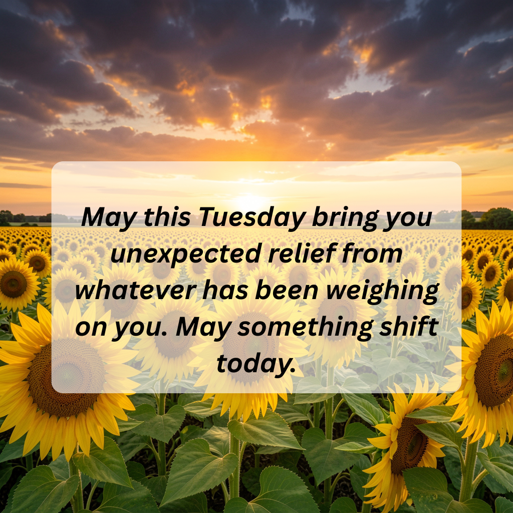100 Happy Tuesday Blessings to Fill Your Day with Joy, Peace, and Good Things